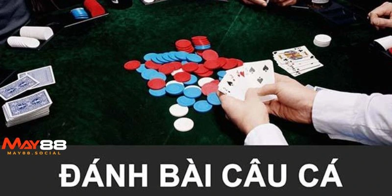 Mẹo chơi bài câu cá