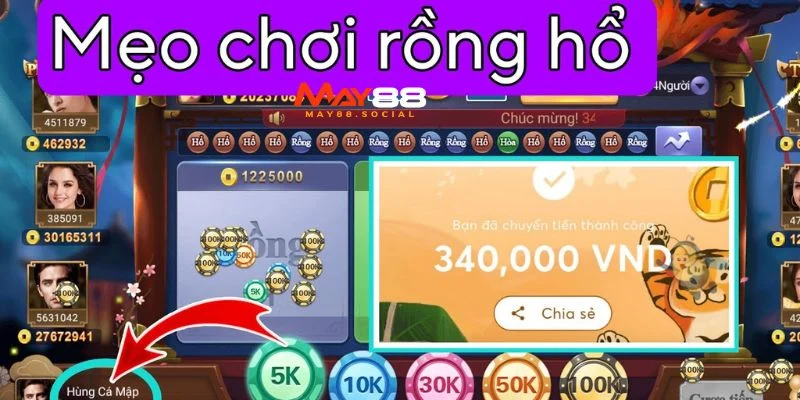 Phân bổ tiền vốn cá cược hợp lý trong game rồng hổ